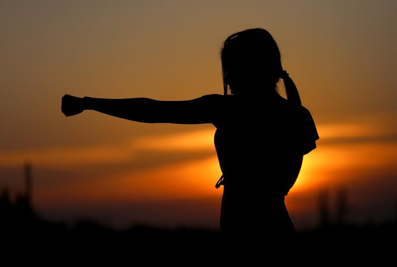 Jiu-Jitsu Training Image