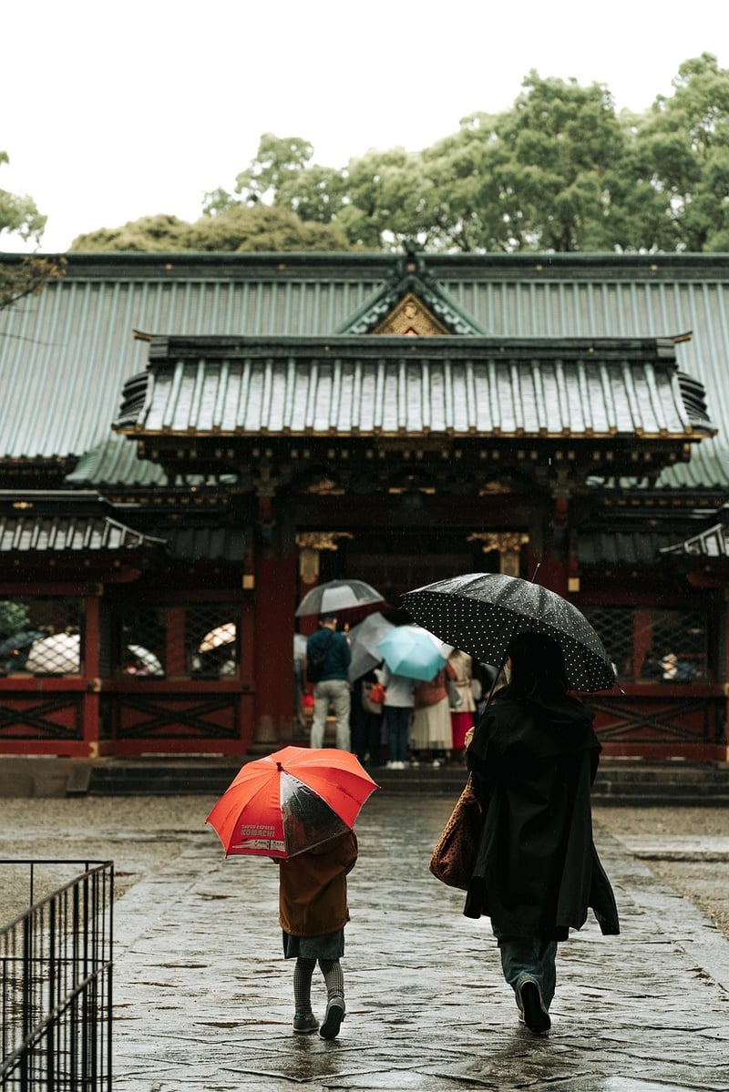Chen Style Tai Chi Image